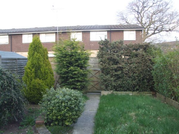Michael Anthony Hemel Hempstead - Grovehill - Garden